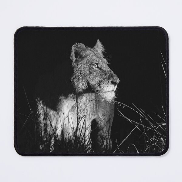 Item preview, Lioness In The Spotlight designed and sold by Andrew Goodall.