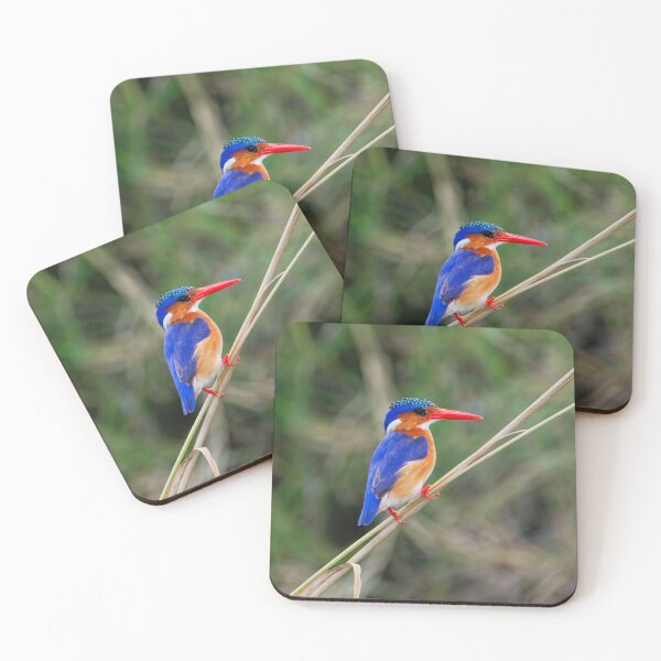 Item preview, Malachite Kingfisher, African Birdlife designed and sold by Andrew Goodall.