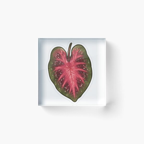 Item preview, Red Caladium Heart Leaf designed and sold by fawnette!.