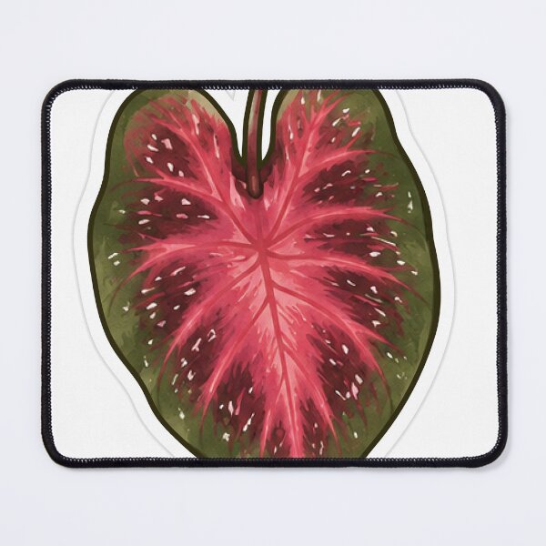 Item preview, Red Caladium Heart Leaf designed and sold by fawnette!.