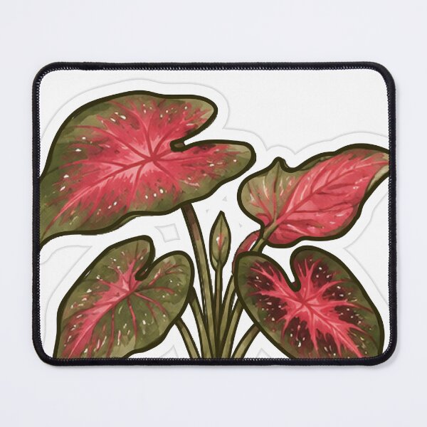 Item preview, Red Caladium Leaf Cluster designed and sold by fawnette!.