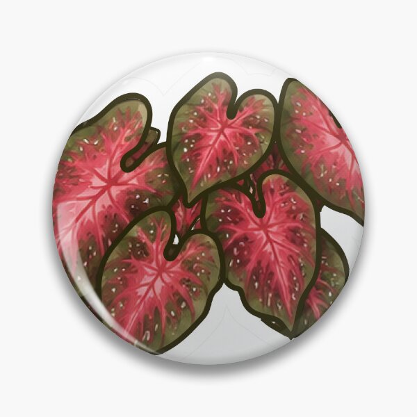 Item preview, Red Caladium Plant Cluster designed and sold by fawnette!.