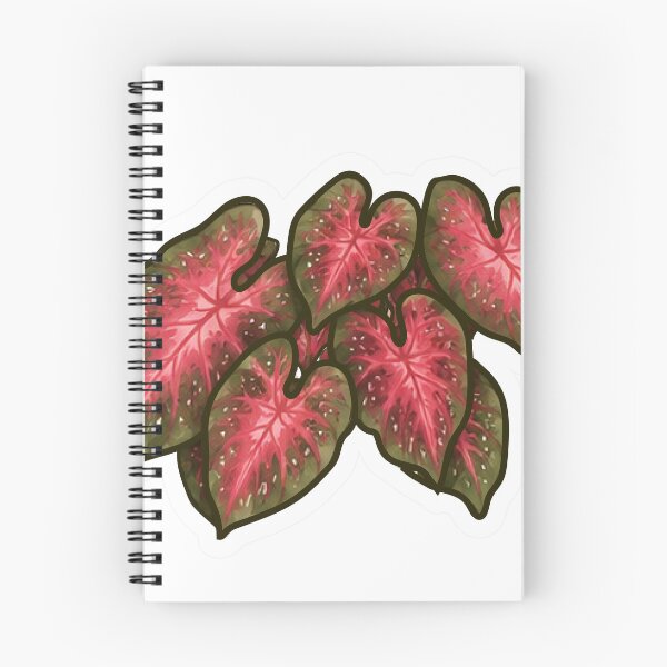 Item preview, Red Caladium Plant Cluster designed and sold by fawnette!.