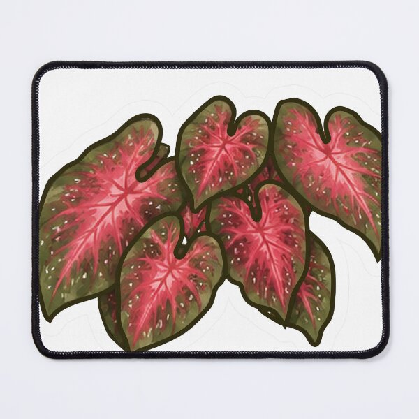 Item preview, Red Caladium Plant Cluster designed and sold by fawnette!.