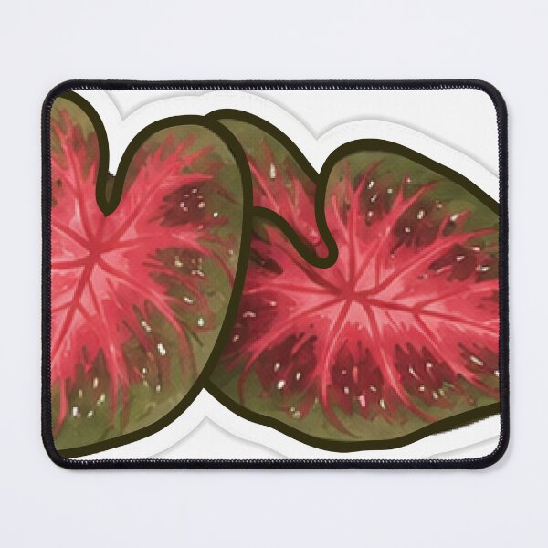 Item preview, Twin Red Caladium Leaves designed and sold by fawnette!.
