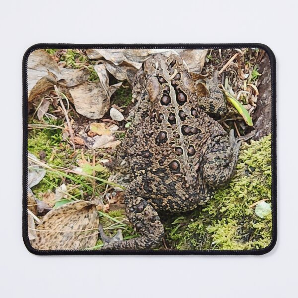 Item preview, Camouflage designed and sold by EveryDayWorld.