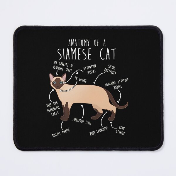 Item preview, Anatomy of a Siamese Cat Humor designed and sold by Dmo3HarkoArt.