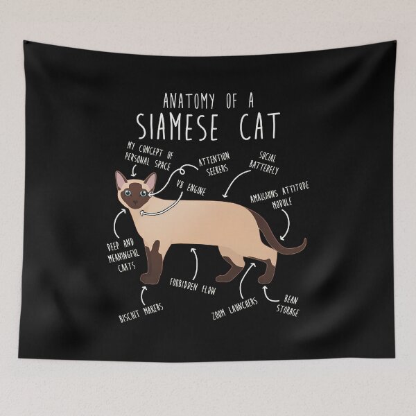Item preview, Anatomy of a Siamese Cat Humor designed and sold by Dmo3HarkoArt.