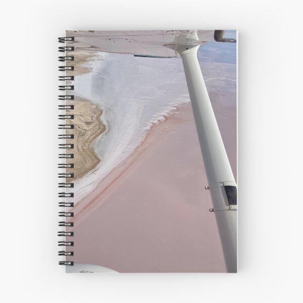 Item preview, Lake Eyre from the Cockpit — Pink Salt Lake Aerial designed and sold by BushPilotLens.