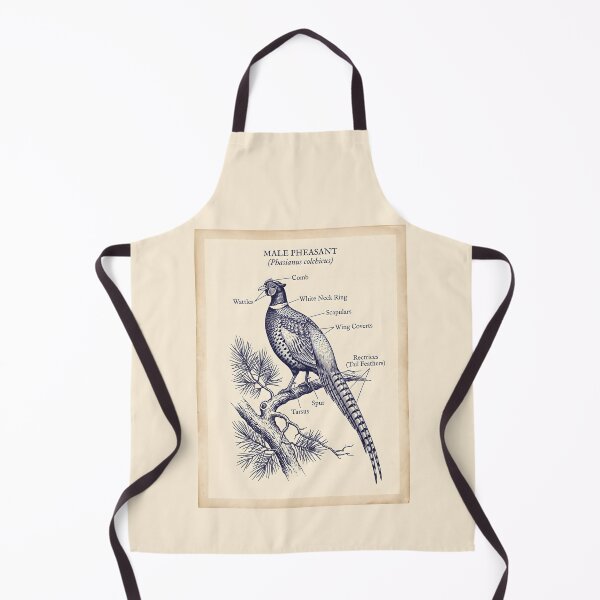 Item preview, Male Pheasant Anatomy - Botanical Line Art Vintage Field Guide designed and sold by SplashTastic.
