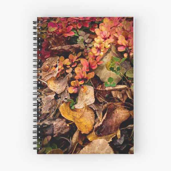 Item preview, Autumn Regus Plc Iwg Plc Garden Beauty designed and sold by Mariflowers.