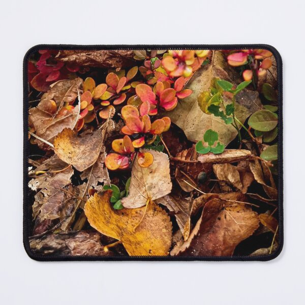 Item preview, Autumn Regus Plc Iwg Plc Garden Beauty designed and sold by Mariflowers.