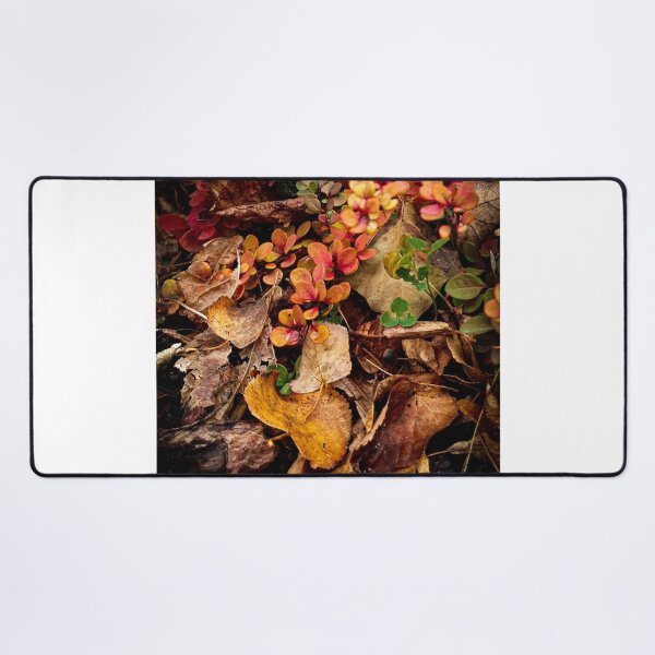 Item preview, Autumn Regus Plc Iwg Plc Garden Beauty designed and sold by Mariflowers.