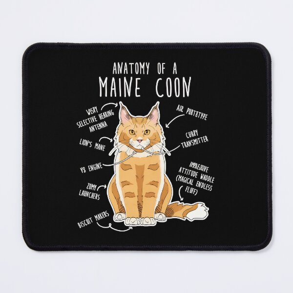 Item preview, Anatomy of a Maine Coon Cat Funny Pet Illustration designed and sold by Dmo3HarkoArt.