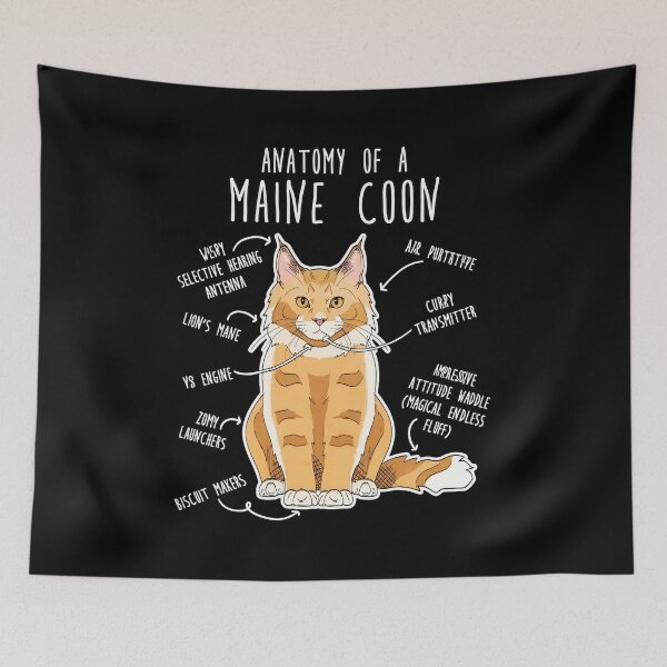 Item preview, Anatomy of a Maine Coon Cat Funny Pet Illustration designed and sold by Dmo3HarkoArt.