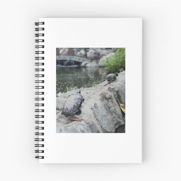 Item preview, ⁠Turtles Basking by the Pond Peaceful Nature Photography⁠ designed and sold by Julia9632.