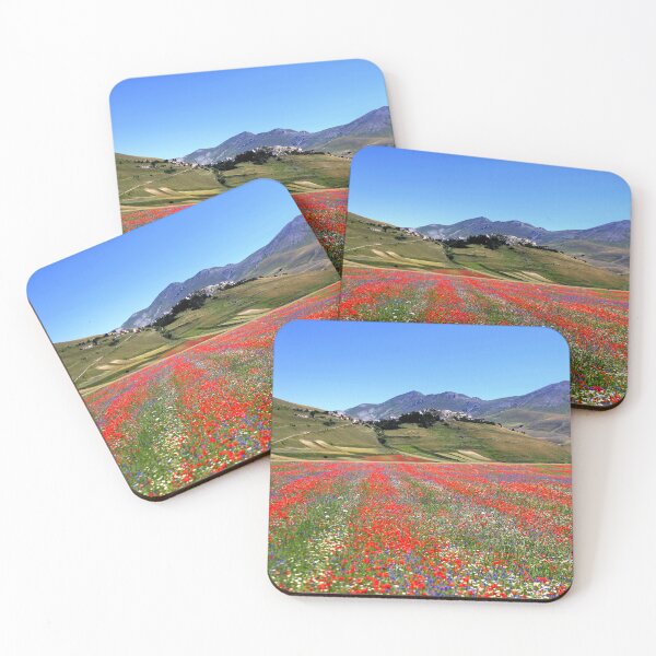 Item preview, Castelluccio flowering 2026 designed and sold by annalisa56.
