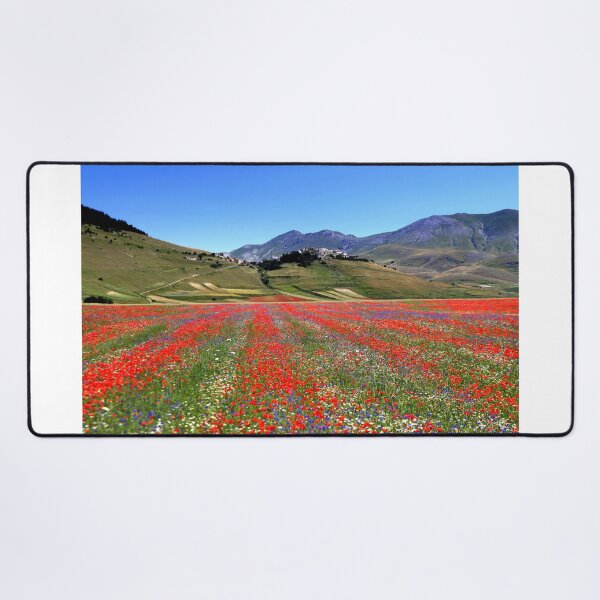Item preview, Castelluccio flowering 2026 designed and sold by annalisa56.