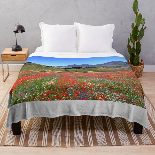 Item preview, Castelluccio flowering 2026 designed and sold by annalisa56.