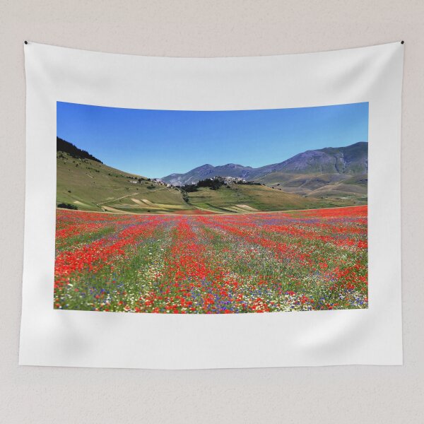 Item preview, Castelluccio flowering 2026 designed and sold by annalisa56.