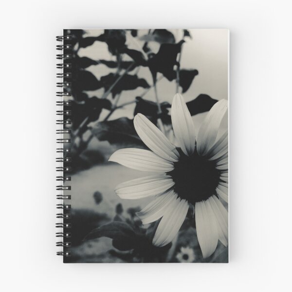 Item preview, Silvertone Monochrome Sunflower Photograph designed and sold by meganlaub1.