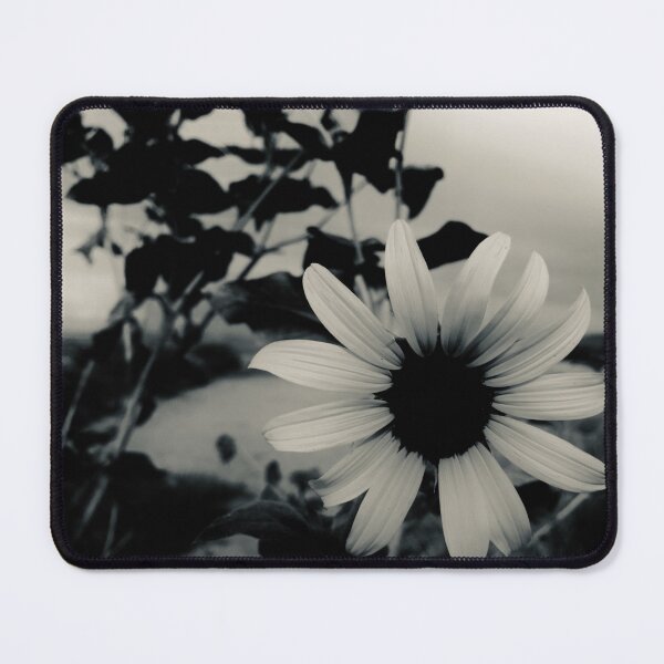 Item preview, Silvertone Monochrome Sunflower Photograph designed and sold by meganlaub1.