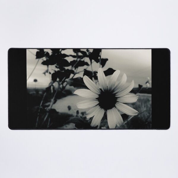 Item preview, Silvertone Monochrome Sunflower Photograph designed and sold by meganlaub1.