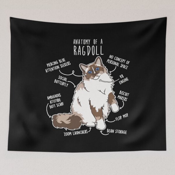 Item preview, Anatomy Of A Ragdoll Cat Funny Pet Humor designed and sold by Dmo3HarkoArt.
