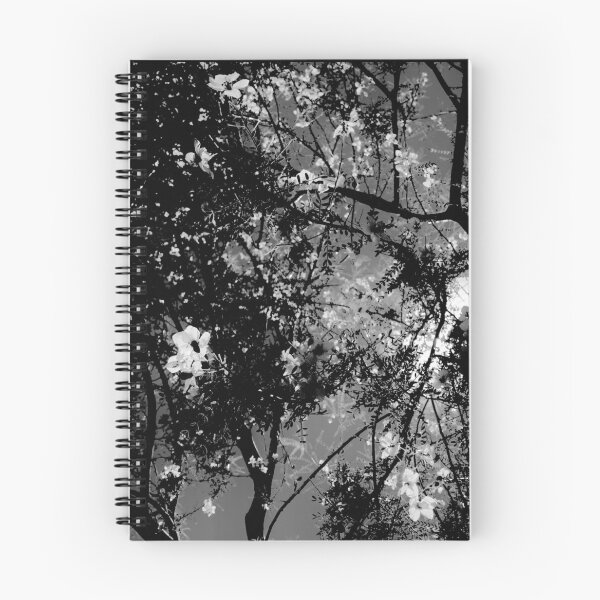 Item preview, Monochrome Palo Verde in the Arizona Sun designed and sold by meganlaub1.