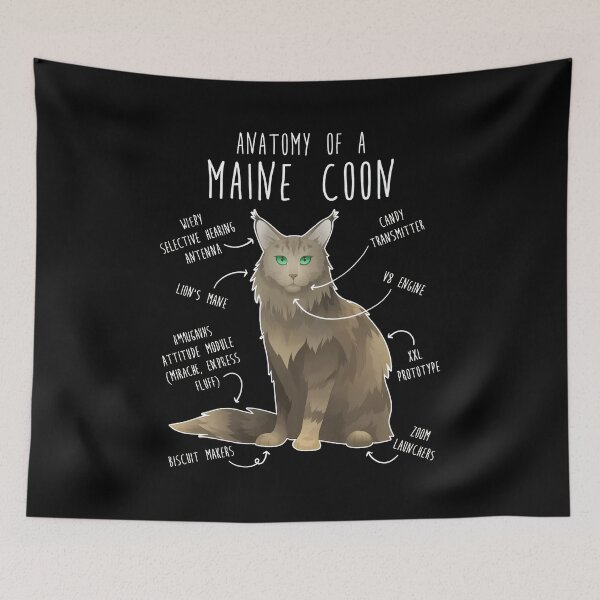 Item preview, Anatomy Of A Maine Coon Funny Cat Lover Gift designed and sold by Dmo3HarkoArt.
