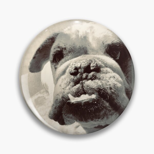 Item preview, Bulldog in Silvertone Photographic Art designed and sold by meganlaub1.