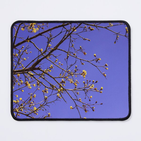 Item preview, Spring Bud Burst | 02 | Hope | Renewal | New Beginnings | Nature | Minimalism | Photography | Limited Edition designed and sold by ArtPrintsbyNathan.
