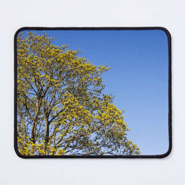 Item preview, Spring Bud Burst | 04 | Hope | Renewal | New Beginnings | Nature | Minimalism | Photography | Limited Edition designed and sold by ArtPrintsbyNathan.