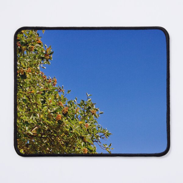 Item preview, The Rowan Tree | The Tree of Life | Courage | Wisdom | Protection | Nature | Minimalism | Limited Edition designed and sold by ArtPrintsbyNathan.