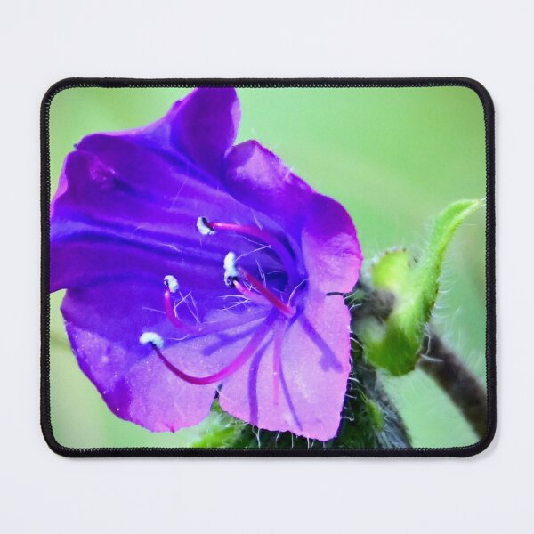 Item preview, Purple Bloom Wildflower designed and sold by Likoca Photography.