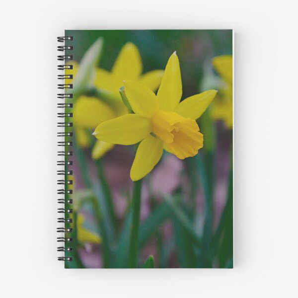 Item preview, Bright Yellow Daffodil designed and sold by ShotsbyDesiree.