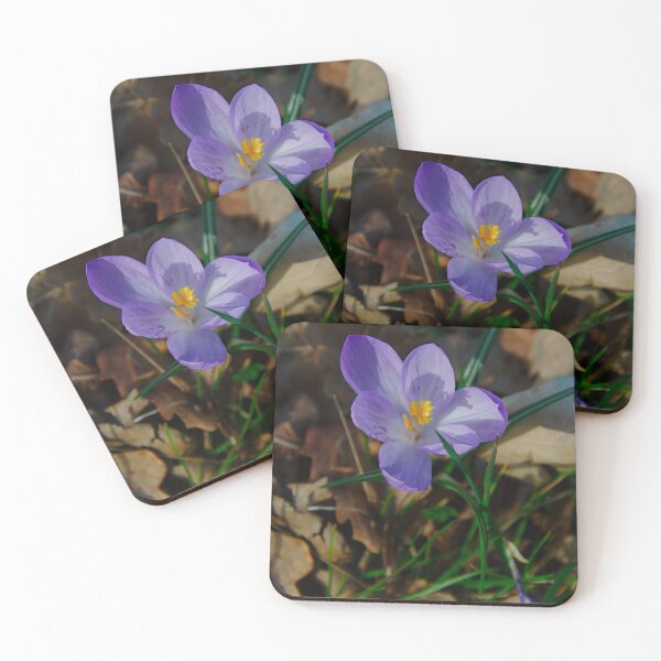 Item preview, Purple Crocus Bloom – Woodland Floor designed and sold by ShotsbyDesiree.