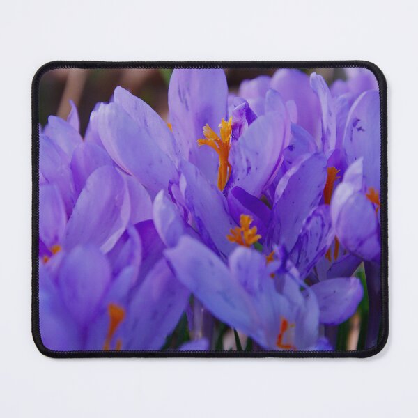 Item preview, Purple Crocus Field designed and sold by ShotsbyDesiree.