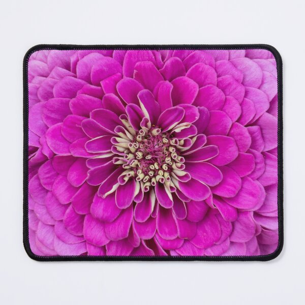 Item preview, A Thousand Pink Petals - Vivid Zinnia in Bloom designed and sold by Georgia Mizuleva.