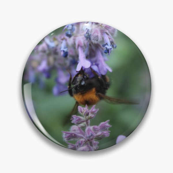 Item preview, Bumblebee gathering nectar - Cottage garden pollinator nature photography designed and sold by Cha-s-lens.