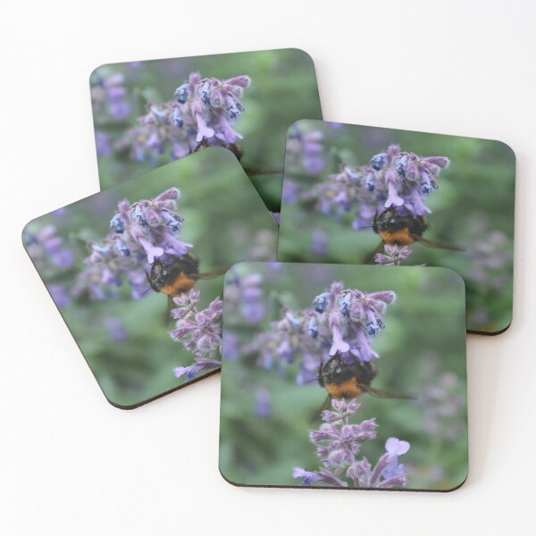 Item preview, Bumblebee gathering nectar - Cottage garden pollinator nature photography designed and sold by Cha-s-lens.