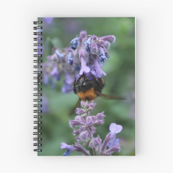 Item preview, Bumblebee gathering nectar - Cottage garden pollinator nature photography designed and sold by Cha-s-lens.