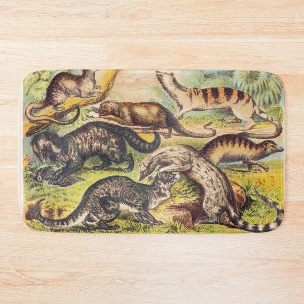 Item preview, Vintage illustration featuring Cryptoprocta Civitt Ichneumon Zibeth Genet Hemigale Zenick designed and sold by Vintage Designs +.