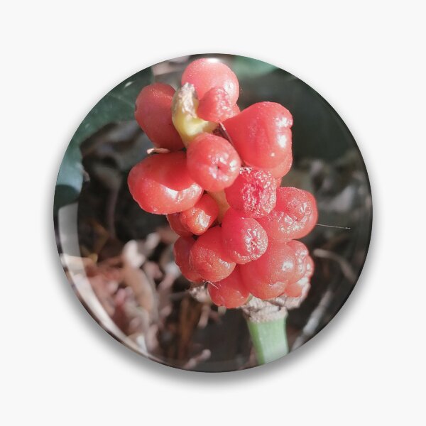 Item preview, Red Wildflower in Nature designed and sold by PhuongVoArt.
