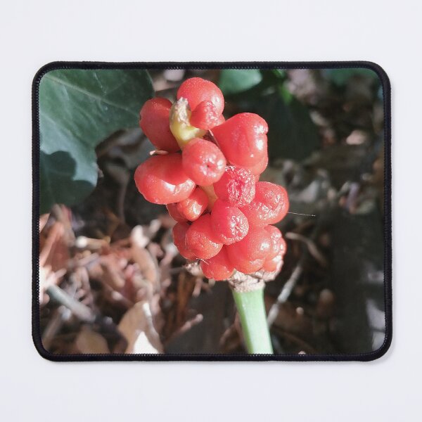 Item preview, Red Wildflower in Nature designed and sold by PhuongVoArt.
