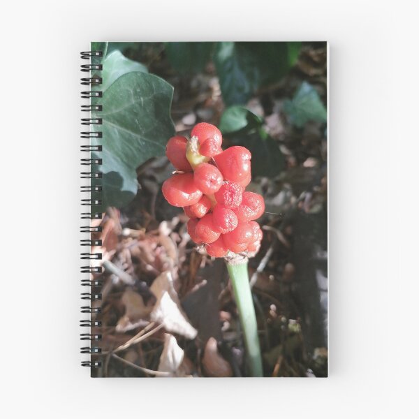 Artikelvorschau, Red Wildflower in Nature entworfen und verkauft von PhuongVoArt.