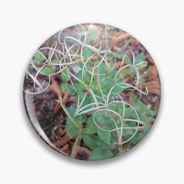 Item preview, Wild Grass Seeds in Nature designed and sold by PhuongVoArt.