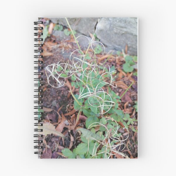 Item preview, Wild Grass Seeds in Nature designed and sold by PhuongVoArt.