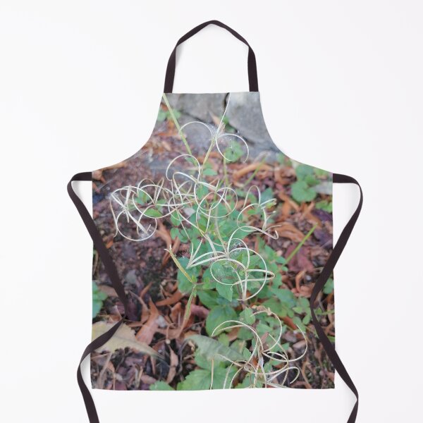 Item preview, Wild Grass Seeds in Nature designed and sold by PhuongVoArt.