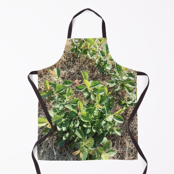 Item preview, Green Shrub Plant in Nature designed and sold by PhuongVoArt.